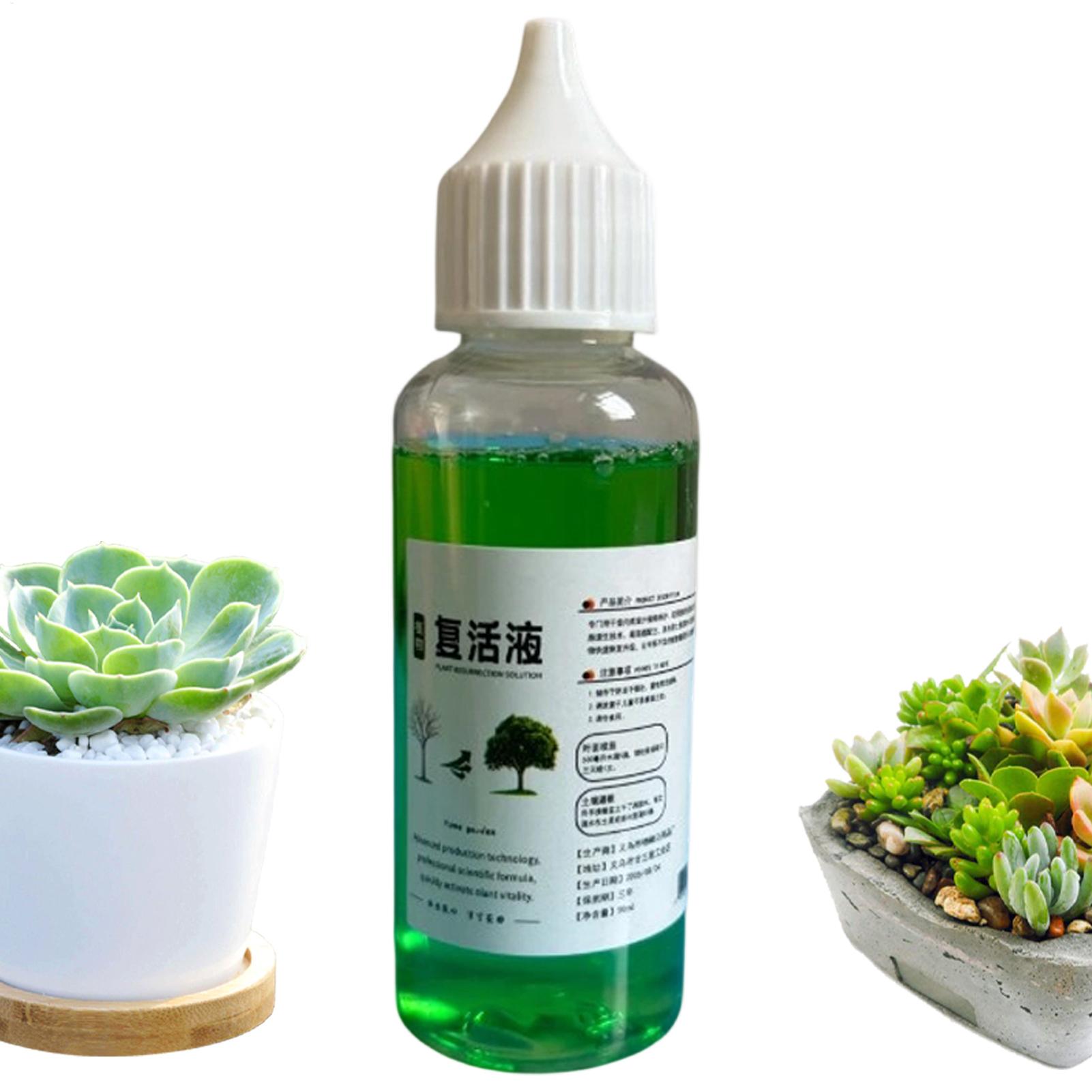 Root Stimulator Liquid - 植物用根刺激剤 液体発根促進剤 50ml 有機・天然成分配合 土壌コンポスト溶液 バラや果樹の生育促進用