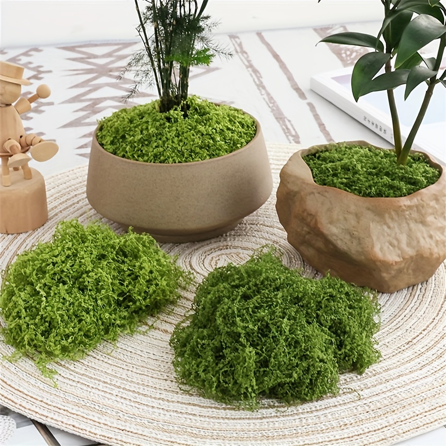 Sphagnum Moss Dry - 人工フェイクモス 1 パック、1.05 オンス DIY シミュレーション苔草マイクロ風景レイアウト鉢植え、芸術品や工芸品、テラリ用