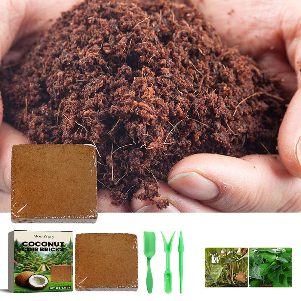 Sphagnum Moss Dry - ココナッツコイアファイバーブリック - 有機培養土壌基質、庭植え用に土壌の通気性と水分保持性を向上させます