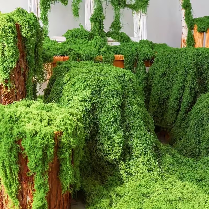 Sphagnum Moss Dry - リアルな人工苔芝生フェイク芝生バイオニックプラント、インスタントポットデコレーション、プロのマイクロ造園とモデルディスプレイ用