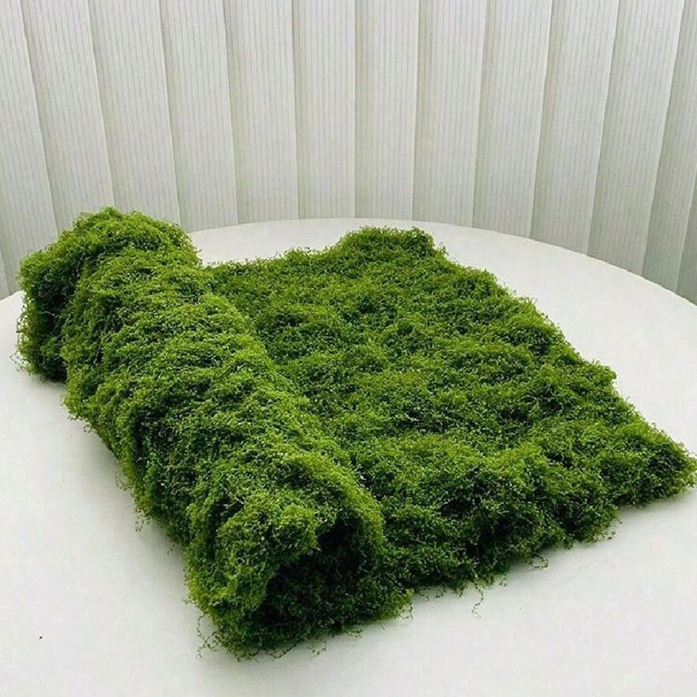 Sphagnum Moss Dry - 1×1m フェイクモス DIY クラフト 芝生 人工苔