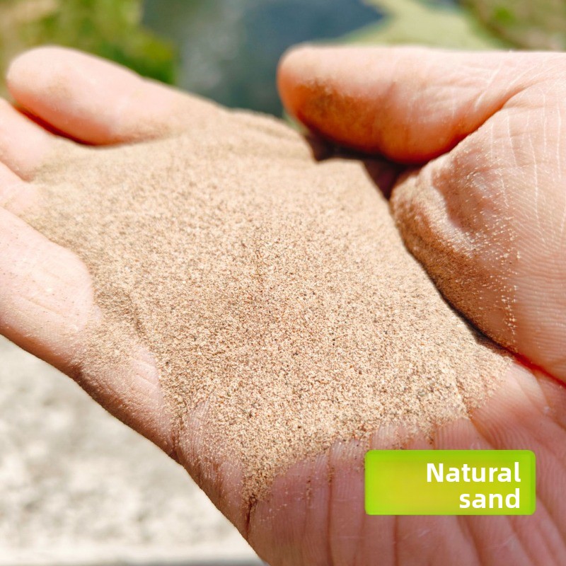 爬虫類用砂 カルシウム砂 ヒゲトカゲ用 砂漠生息地用基材 低 - Sphagnum Moss Dry のレビューと価格