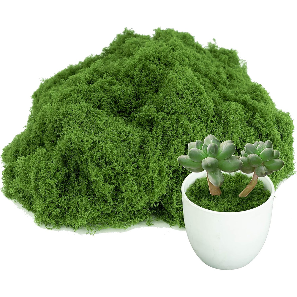永遠の命の苔 DIY 工芸品草人工緑植物ホームルーム庭の装飾 - Sphagnum Moss Dry のレビューと価格