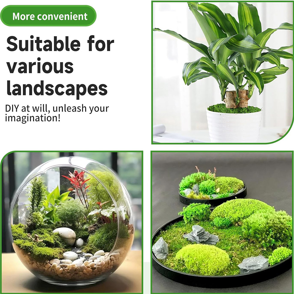 永遠の命の苔 DIY 工芸品草人工緑植物ホームルーム庭の装飾 - Sphagnum Moss Dry のレビューと価格
