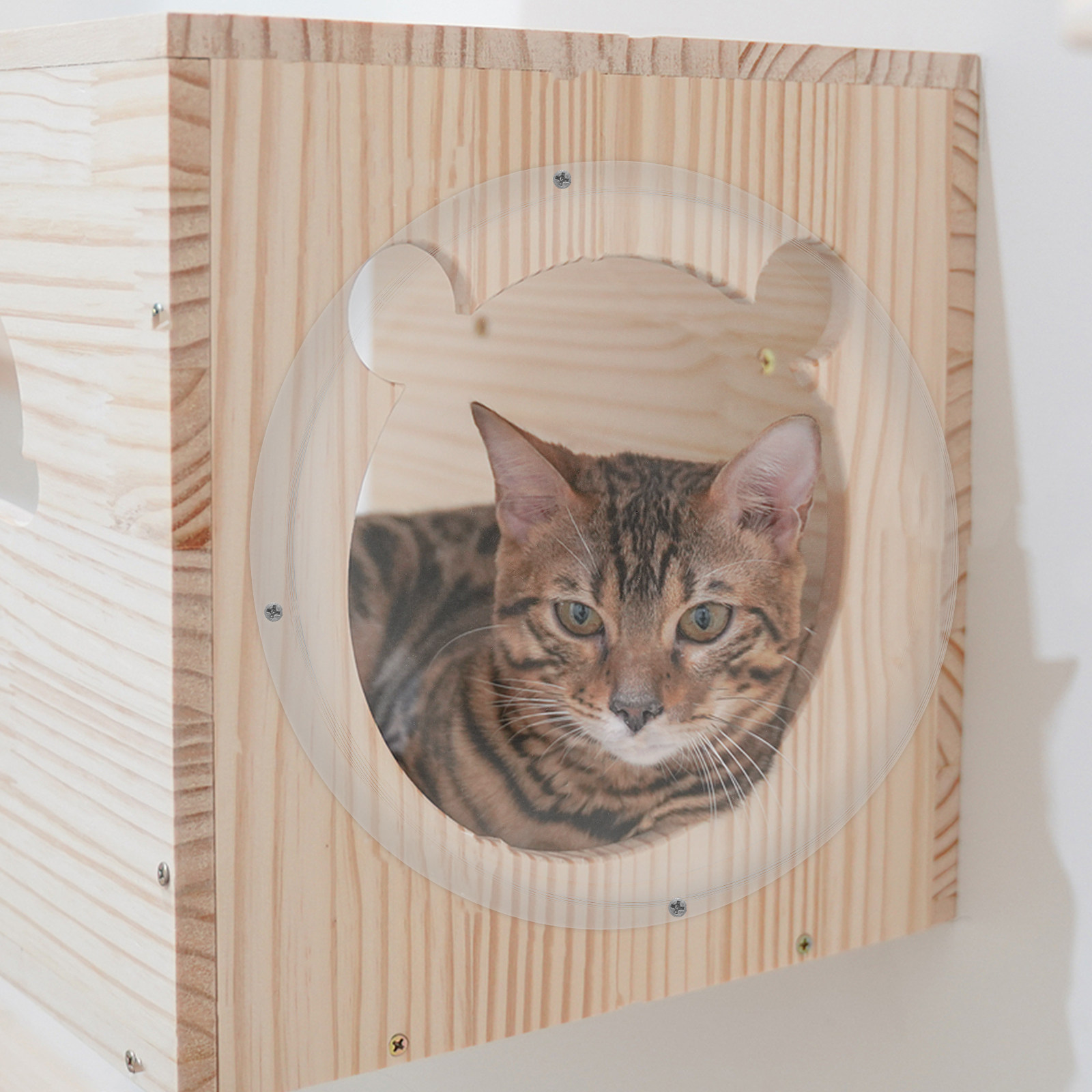 22cmの透明アクリル製キャットネストカプセル。室内猫や子猫 - Plastic Dome Clear のレビューと価格