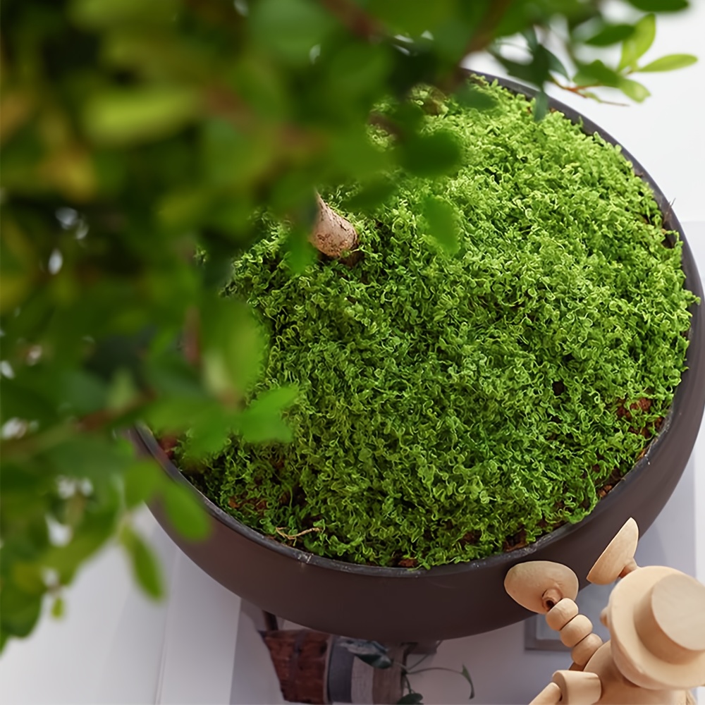 人工フェイクモス 1 パック、1.05 オンス DIY シミ - Sphagnum Moss Dry のレビューと価格