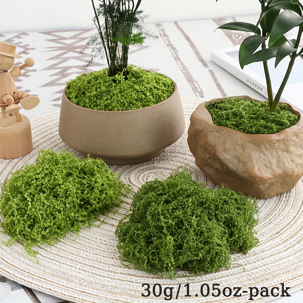 人工フェイクモス 1 パック、1.05 オンス DIY シミ - Sphagnum Moss Dry のレビューと価格