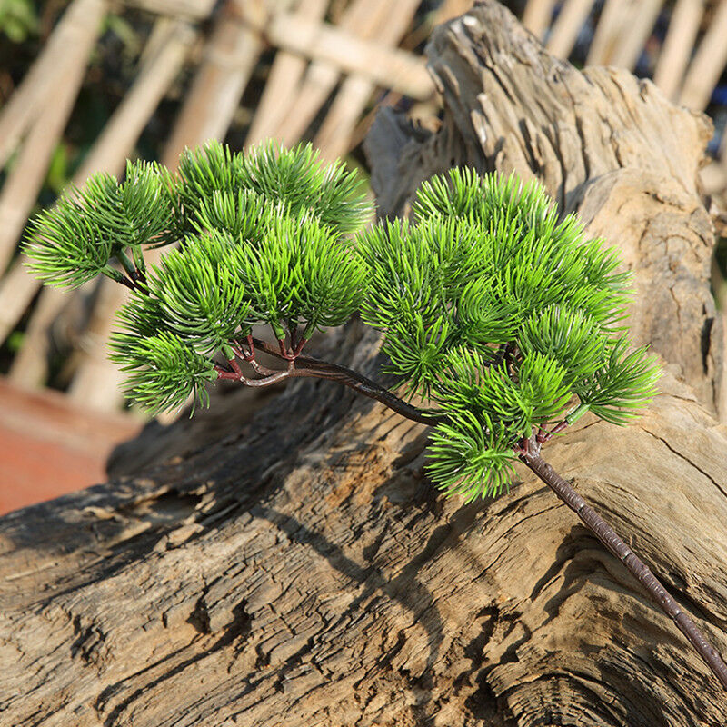 42 センチメートル人工植物松の枝緑の葉偽植物ホーム松盆栽ア - Sphagnum Moss Dry のレビューと価格
