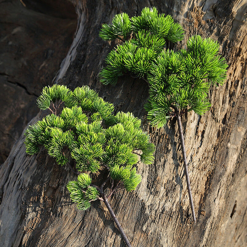 42 センチメートル人工植物松の枝緑の葉偽植物ホーム松盆栽ア - Sphagnum Moss Dry のレビューと価格