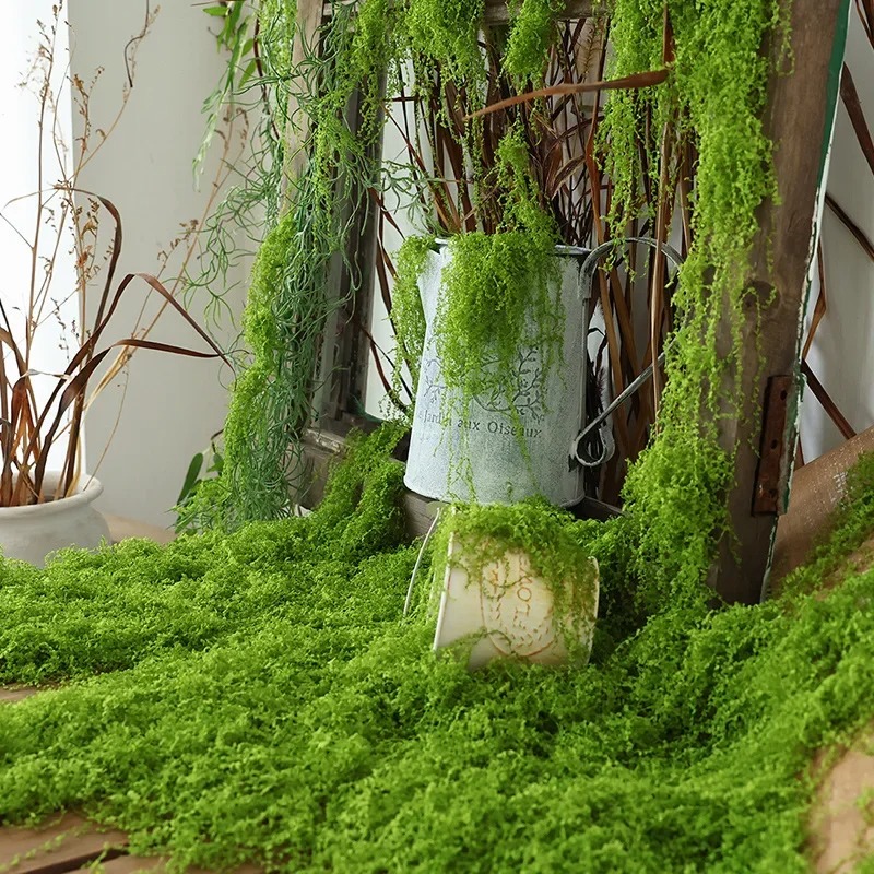 リアルな人工苔芝生フェイク芝生バイオニックプラント、インスタ - Sphagnum Moss Dry のレビューと価格