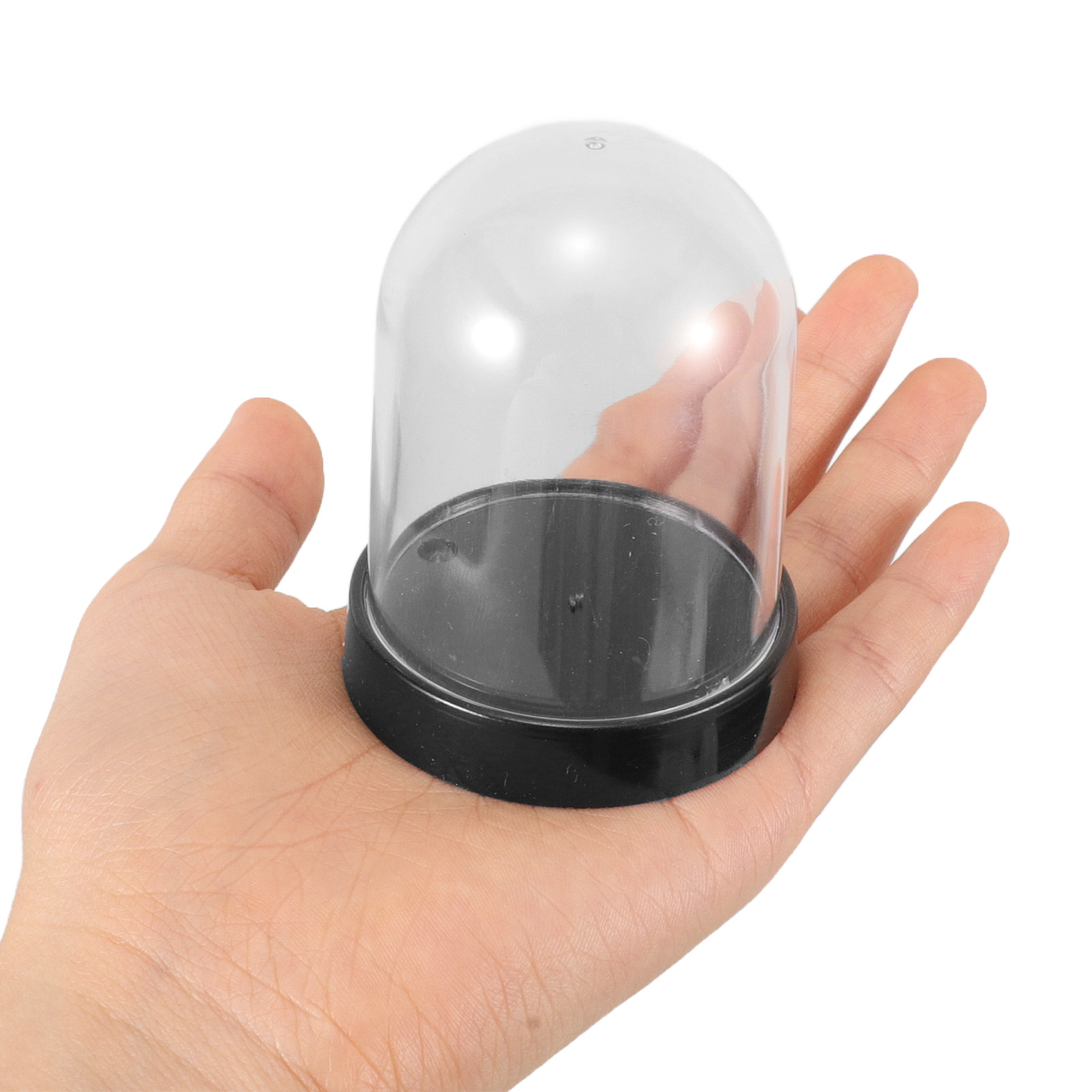 5個セットの透明度の高いプラスチック製ドーム型ケース。花や花 - Plastic Dome Clear のレビューと価格