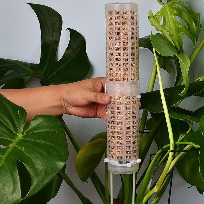 蘭やモンステラのつる性植物用のスファグナムモス支柱、プラスチ - Sphagnum Moss Dry のレビューと価格