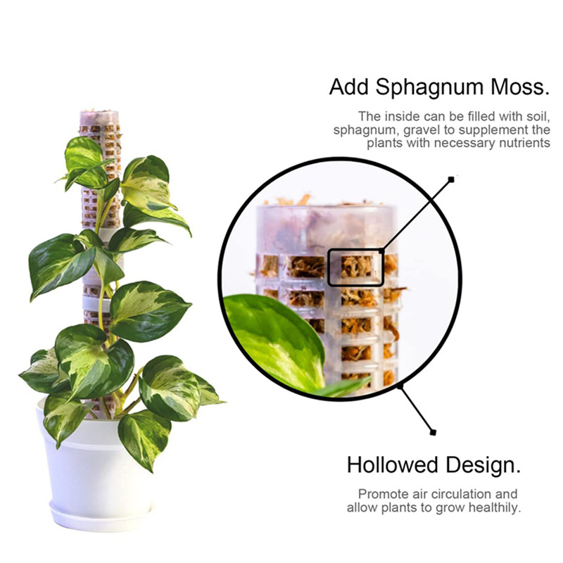 プラスチック製モススティック、積み重ね可能なモス棒、スファグ - Sphagnum Moss Dry のレビューと価格